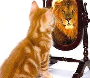 Protecting our identity