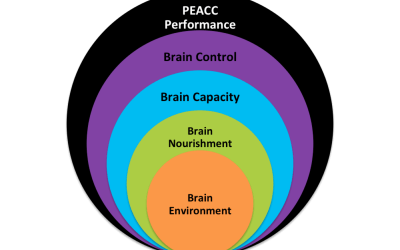 Cultivating YOUR High Performance Brain