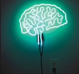 Become a neuru-guru!