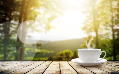 Green Tea and Dark Chocolate: Seven Steps to Guiding your Brain for Success in 2016