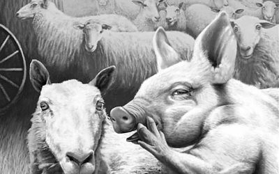 All Conversations are Equal. But Some are More Equal than Others…