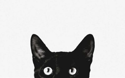 4 Steps to Powerful Conversations: Part 3 Curiosity