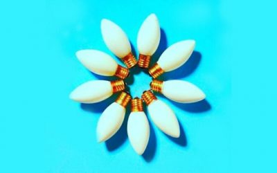 Human Agency and Organisation Potential