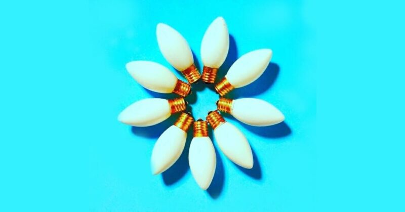 Human Agency and Organisation Potential