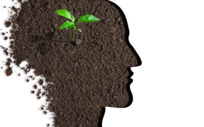 In Service of Of Service – which are you and which is better?