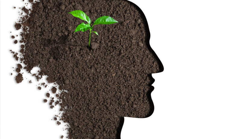 In Service of Of Service – which are you and which is better?